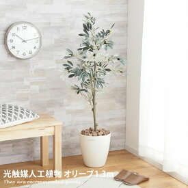 楽天市場 北欧 種類 植物 オリーブ 花 観葉植物 花 ガーデン Diy の通販