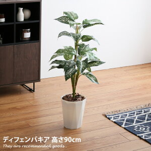 観葉植物 インテリア 北欧の人気商品 通販 価格比較 価格 Com 観葉植物 インテリア 北欧の人気商品 通販 価格比較 価格 Com