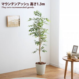 【クーポンで13％OFF！6/8 0：00～23：59まで！】光触媒 【高さ1.3m】 観葉植物 フェイクグリーン グリーン 人工観葉植物 おしゃれ家具 おしゃれ 北欧 インテリア マウンテンアッシュ 造花 インドアグリーン 消臭 防菌 人気 可愛い かわいい Brote