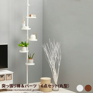 yMAX50OFF! 11/2411/25聚zR[gnK[ ˂_ VFt |[nK[ u [G P RpNg X ˂[bN ȒPg ߗގ[ ؖ ی` gC 