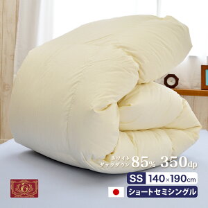 V[gZ~VO Hъ|zc GNZS[h 140×190cm  _Ep[350dp p qp 舵֗