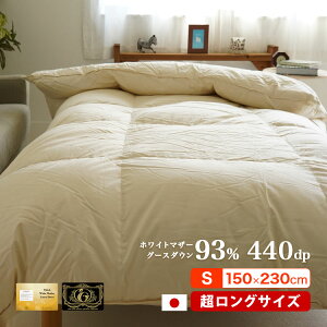 gp Hъ|zc v~AS[h |[hY}U[O[X VOX[p[O 150×230cm OO g 傫 cCLg _Ep[440dp