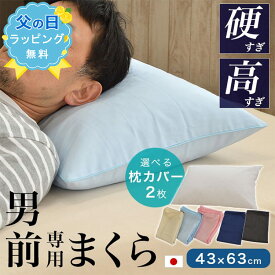 【父の日ラッピング無料】【枕カバー2枚付き】 パイプ枕 硬くて 高い 男（前？）専用枕 ビッグサイズ 日本製 大粒 43x63cm 高さ約17cm 男性 プレゼント ギフト 日本製 硬い 固い 男前枕 硬めのパイプ枕