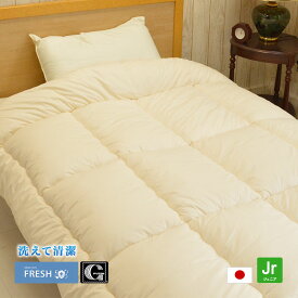 インビスタ社 ダクロン フレッシュ 掛布団 洗える ウォッシャブル 日本製ジュニアサイズ（約135×185cm）セミシングルホコリが出にくい 軽い 暖かい 保温性 アレルギー対策 速乾性 掛け布団