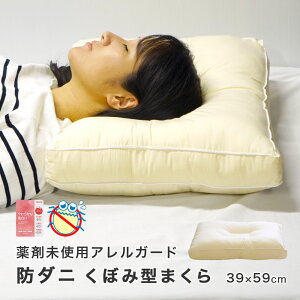 AK[h  EHbVu h_j ڂ݌^ 43×63cm NX^[ ېOK 