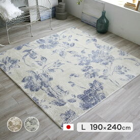 ラグ カーペット 防ダニ 190×240cm 長方形 床暖対応 ホットカーペットカバー 滑り止め フェリシア スミノエ