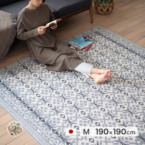 O J[ybg h_j 190×190cm ` gΉ zbgJ[ybgJo[ E[Xm[ X~mG E[100% ~