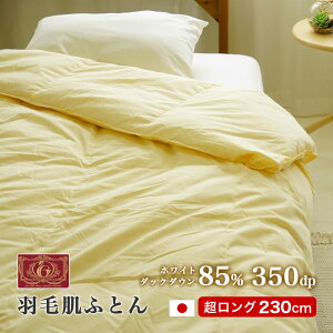 X[p[OTCY Hє|zc _EPbg tEāEHp { gp  傫 O _E85% 350dp 150×230cm