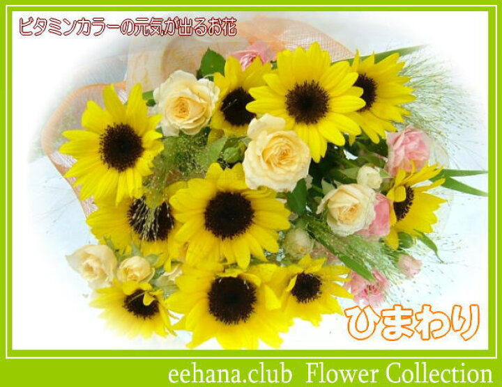 楽天市場 8月の誕生花 ひまわり花束3 500円 送料無料 写真付きメッセージ選択可 楽ギフ 包装 楽ギフ メッセ 楽ギフ メッセ入力 あす楽対応 いいｈａｎａ倶楽部