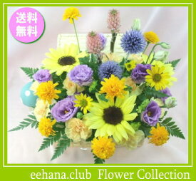 楽天市場 8月 誕生花の通販