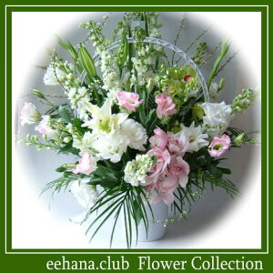 E݂ɑԁiŁj7,000~yzyyMt_zyyMt_bZzyyMt_bŹzyyΉz