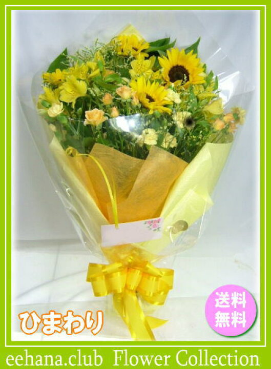 楽天市場 8月の誕生花 ひまわり花束5 000円 送料無料 ネット特価 写真付きメッセージ選択可 楽ギフ 包装 楽ギフ メッセ 楽ギフ メッセ入力 あす楽対応 いいｈａｎａ倶楽部