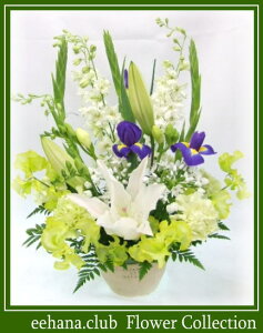 ₨~ɑԁt[AWj3,500~N[֑ΉIyzlbgIyyMt_zyyMt_bZzyyMt_bŹzyyΉz