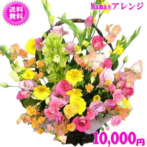 ��̓� �� �M�t�g��Mama's�A�����W10,000�~�y���������z�y�y�M�t_��z�y�y�M�t_���b�Z�z�y�y�M�t_���b�Z���́z 2026_�ԃM�t�g