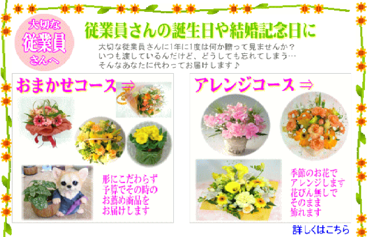 楽天市場 法人向けフラワー お祝い花専用フラワー15 000円 送料無料 あす楽対応 画像閲覧ok メッセージカード付き 楽ギフ メッセ 開店 退職 結婚祝い 新築 出産 フラワー 花 プレゼント あす楽 日曜営業 いいhana倶楽部 楽天市場 法人向けフラワー お祝い花専用フラワー15 000円 送料無料 あす楽対応 画像閲覧ok メッセージカード付き 楽ギフ メッセ 開店 退職 結婚祝い 新築 出産 フラワー 花 プレゼント あす楽 日曜営業 いいhana倶楽部