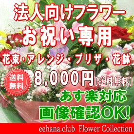 法人向けフラワー★お祝い花専用フラワー8,000円【送料無料】【あす楽対応】【画像閲覧OK！】【メッセージカード付き】【楽ギフ_メッセ】開店・退職・結婚祝い・新築・出産 フラワー 花 プレゼント【あす楽_日曜営業】