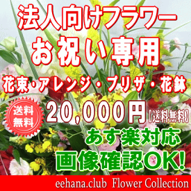 法人向けフラワー★お祝い花専用フラワー20,000円【送料無料】【あす楽対応】【画像閲覧OK！】【メッセージカード付き】【楽ギフ_メッセ】開店・退職・結婚祝い・新築・出産 フラワー 花 プレゼント【あす楽_日曜営業】