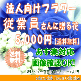 従業員用さんに贈る花★5,000円【送料無料】【あす楽対応】【楽ギフ_包装】【楽ギフ_メッセ】【楽ギフ_メッセ入力】