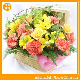 楽天市場 花 カーネーションの通販
