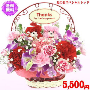 母の日 カーネーション アレンジ 生花の人気商品 通販 価格比較 価格 Com