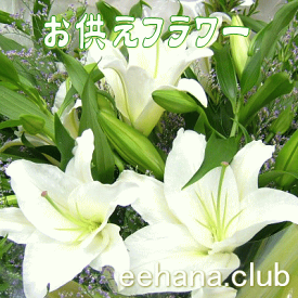 楽天市場 花束 500円の通販