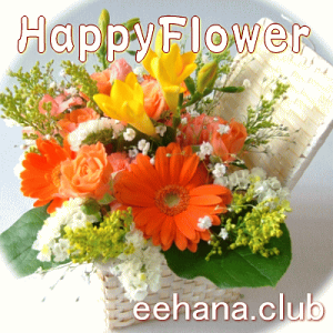 jԐpt[Flower3,500~ yԑEAWE͂́EvU[uht[z yFw\ԁEsNECG[Eu[Ep[vEIWEzCgEMIXz