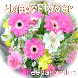 jԐpt[Flower10,000~yz yԑEAWE͂́EvU[uht[z yFw\ԁEsNECG[Eu[Ep[vEIWEzCgEMIX