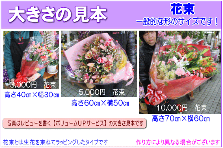 楽天市場 花 誕生日 バースデー ギフトフラワー3 000円 送料無料 土日祝も営業 あす楽15時 画像閲覧ok メッセージカード付き 楽ギフ メッセ フラワーアレンジメント 花束 プリザ プレゼント 翌日配達 プレゼント ギフト 女性 いいｈａｎａ倶楽部