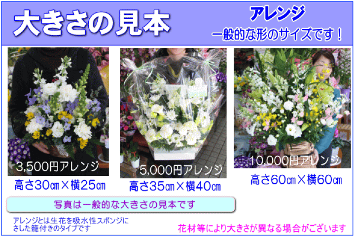楽天市場】お供え お悔み フラワーギフト【あす楽15時】土日祝も営業 お悔やみに贈る花☆お供え専用おまかせフラワー3,500円【送料無料 】【楽ギフ_包装】【楽ギフ_メッセ】【法事 お供え お盆 お彼岸 お供え お悔やみ フラワーアレンジメント 花束ペットのお供え】【即日 ... 楽天市場】お供え お悔み フラワーギフト【あす楽15時】土日祝も営業 お悔やみに贈る花☆お供え専用おまかせフラワー3,500円【送料無料 】【楽ギフ_包装】【楽ギフ_メッセ】【法事 お供え お盆 お彼岸 お供え お悔やみ フラワーアレンジメント 花束ペットのお供え】【即日 ...