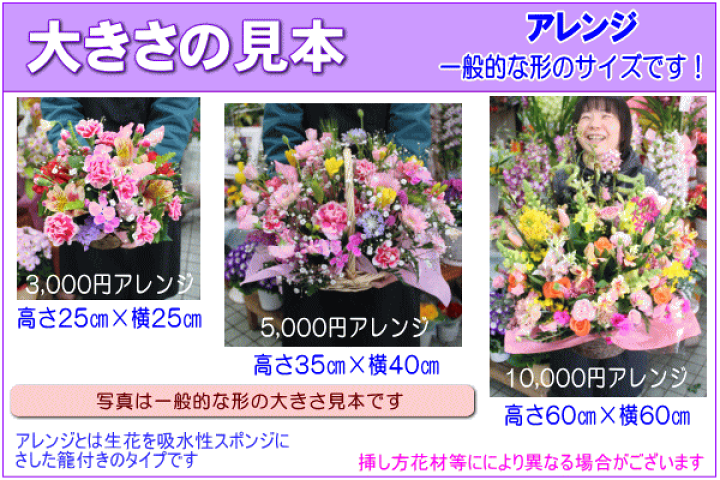 楽天市場 土日祝も営業 あす楽15時 ホステス キャバ嬢さん専用フラワー5 000円 送料無料 あす楽対応 画像閲覧ok メッセージカード付き 楽ギフ メッセ ホステス キャバ嬢さん 姫 誕生日フラワー 花 プレゼント あす楽 日曜営業 翌日配達
