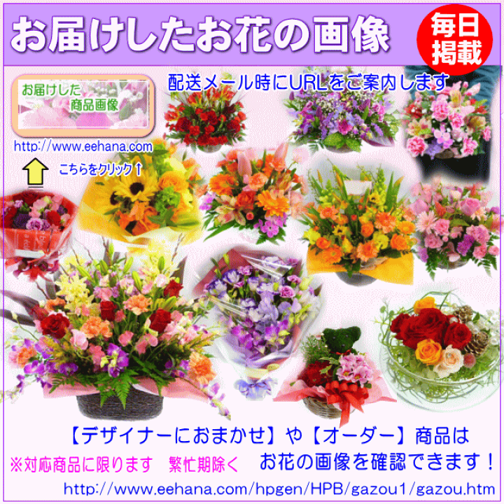 楽天市場 土日祝も営業 あす楽15時 ホステス キャバ嬢さん専用フラワー10 000円 送料無料 あす楽対応 画像閲覧ok 楽ギフ メッセ ホステス キャバ嬢さん 誕生日フラワー 花 プレゼント あす楽 日曜営業 翌日配達 いいｈａｎａ倶楽部