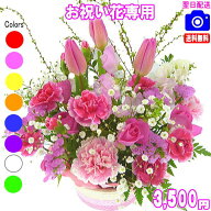 土日祝も営業！お祝い花専用フラワー3,500円【送料無料】【あす楽対応】【画像閲覧OK！】【メッセージカ…