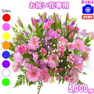 土日祝も営業！お祝い花専用おまかせフラワー5,000円【送料無料】【あす楽対応】【画像閲覧OK！】【メッ…