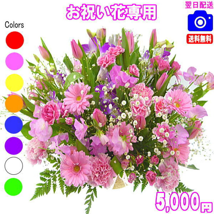 楽天市場】土日祝も営業！お祝い花専用おまかせフラワー5,000円【送料 