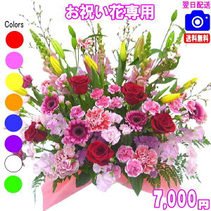 yjcƁIjԐp܂t[7,000~yzyyΉzy摜{OKIzybZ[WJ[htzyyMt_bZzJXEސEEjEVzEoY t[ 