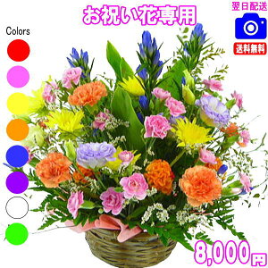 @lt[jԐpt[8,000~yzyyΉzy摜{OKIzybZ[WJ[htzyyMt_bZzJXEސEEjEVzEoY t[  