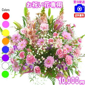 土日祝も営業！お祝い花専用おまかせフラワー10,000円【送料無料】【あす楽対応】【画像閲覧OK！】【メッセージカード付き】【楽ギフ_メッセ】開店・退職・結婚祝い・新築・出産 フラワー 花 プレゼント【あす楽_日曜営業】