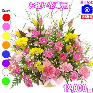 @lt[jԐpt[12,000~yzyyΉzy摜{OKIzybZ[WJ[htzyyMt_bZzJXEސEEjEVzEoY t[  