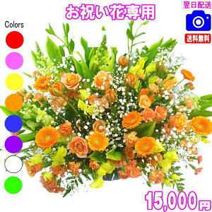 @lt[jԐpt[15,000~yzyyΉzy摜{OKIzybZ[WJ[htzyyMt_bZzJXEސEEjEVzEoY t[  