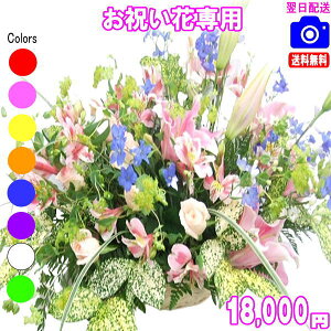 @lt[jԐpt[18,000~yzyyΉzy摜{OKIzybZ[WJ[htzyyMt_bZzJXEސEEjEVzEoY t[  