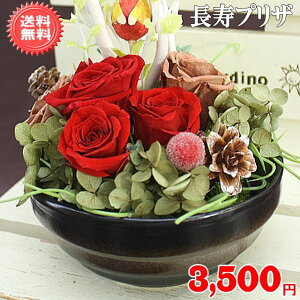 hV̓vU[uht[3,850~yzlbgIybZ[WJ[htzyyMt_bZzyyMt_z