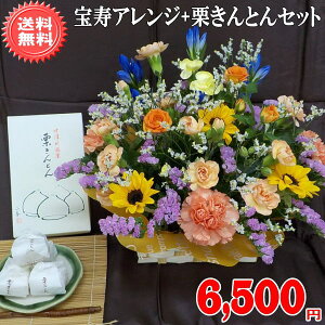 hV̓Mtg XlCNo1IÐuIƂvƕAWZbgIGߌ聚6,500~yzhV̓lbgIIybZ[WJ[htzyyMt_bZzyyMt_