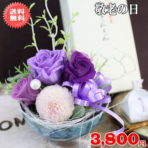 hV̓vU[uht[3,800~yzlbgIybZ[WJ[htzyyMt_bZzyyMt_z