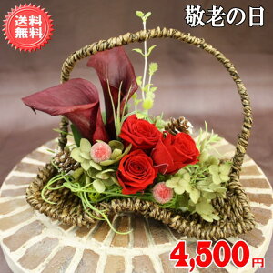 hV̓ԃMtgavU[uht[4,950~yzlbgIybZ[WJ[htzyyMt_bZzyyMt_z