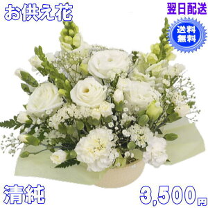 ybĝE݂ɑԁ 3,500~yzN[֑ΉIlbgIyyMt_zyyMt_bZzyyMt_bŹzyyΉz