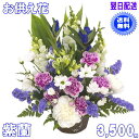 お供え・お悔やみに贈る花★紫蘭 3,500円【送料無料】クール便対応！ネット特価！【楽ギフ_包装】【楽ギフ_メッセ】【楽ギフ_メッセ入力】【あす楽対応】