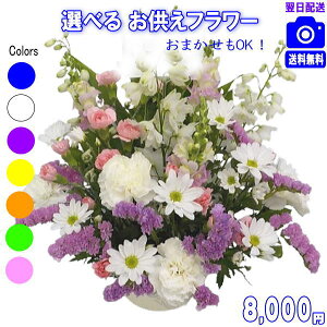 yjcƁyy15z@lp ɑԁ܂t[8,000~yzyyMt_zyyMt_bZzyyMt_bŹzyyΉzy@  ~ 