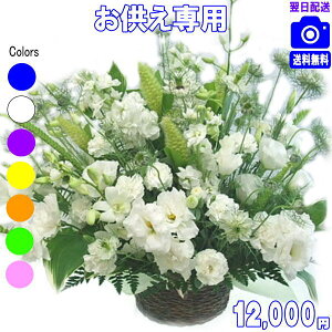 yjcƁyy15z@lp ɑԁ܂t[12,000~yzyyMt_zyyMt_bZzyyMt_bŹzyyΉzy@  ~ 