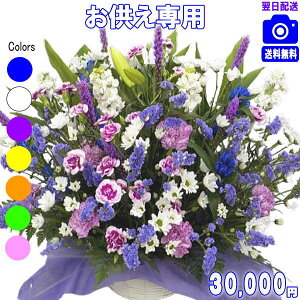 yjcƁyy15z@lp ݂ɑԁ܂t[30,000~yzyyMt_zyyMt_bZzyyMt_bŹzyyΉzy@  ~ 