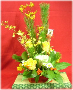 AW}tyz3,800~yzlbgIIyyMt_zyyMt_bZzyyMt_bŹzyyΉz